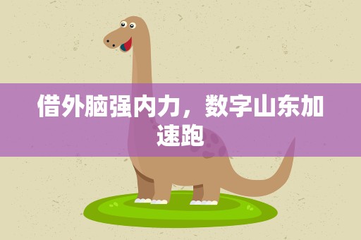 借外脑强内力，数字山东加速跑
