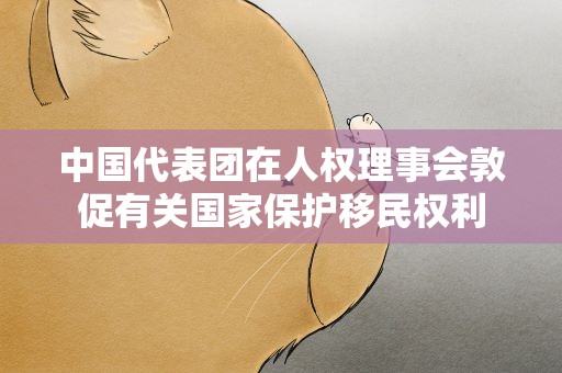 中国代表团在人权理事会敦促有关国家保护移民权利