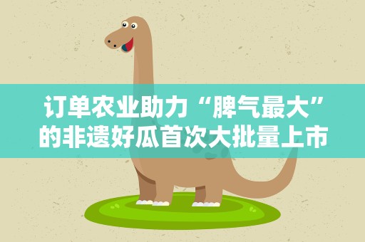 订单农业助力“脾气最大”的非遗好瓜首次大批量上市