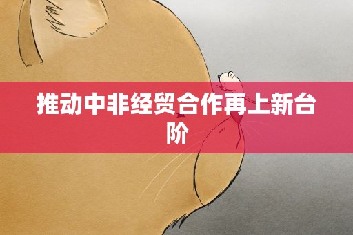 推动中非经贸合作再上新台阶
