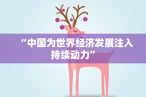 “中国为世界经济发展注入持续动力”