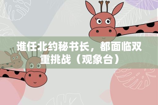 谁任北约秘书长，都面临双重挑战（观象台）