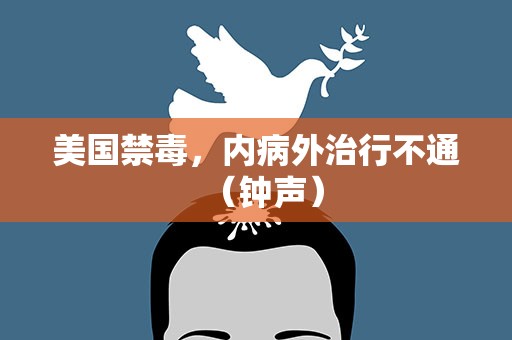 美国禁毒，内病外治行不通（钟声）
