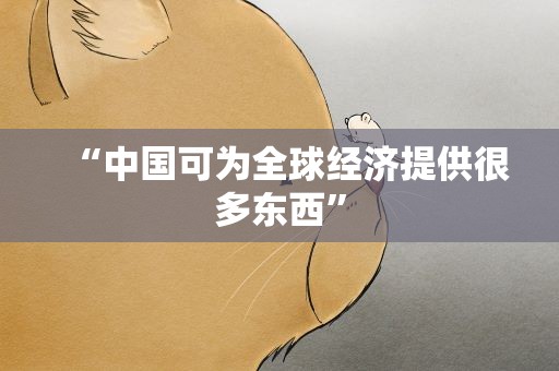 “中国可为全球经济提供很多东西”