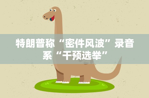 特朗普称“密件风波”录音系“干预选举”