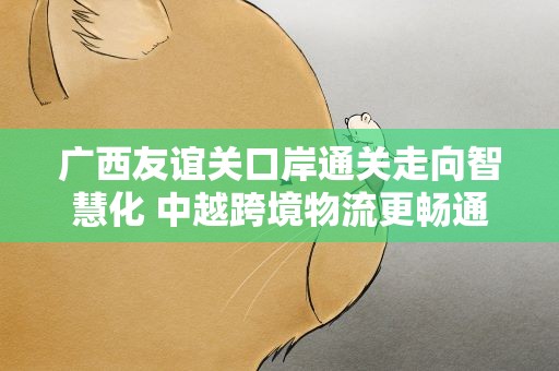 广西友谊关口岸通关走向智慧化 中越跨境物流更畅通