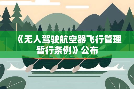 《无人驾驶航空器飞行管理暂行条例》公布