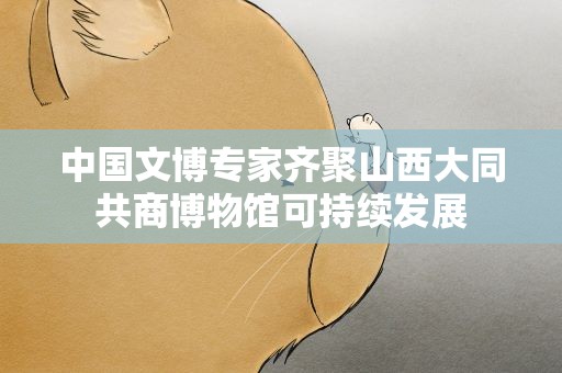 中国文博专家齐聚山西大同共商博物馆可持续发展