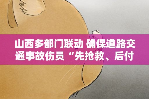 山西多部门联动 确保道路交通事故伤员“先抢救、后付费”