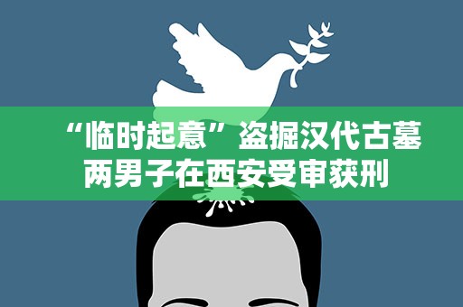 “临时起意”盗掘汉代古墓 两男子在西安受审获刑