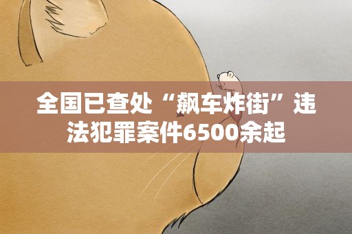 全国已查处“飙车炸街”违法犯罪案件6500余起