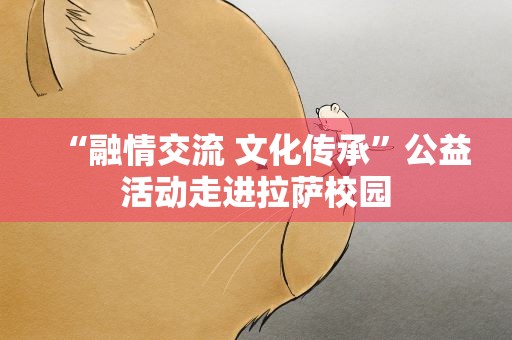“融情交流 文化传承”公益活动走进拉萨校园
