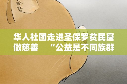 华人社团走进圣保罗贫民窟做慈善　“公益是不同族群间的共同语言”