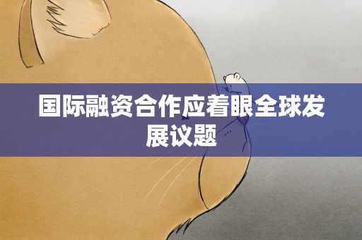 国际融资合作应着眼全球发展议题