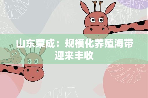 山东荣成：规模化养殖海带迎来丰收