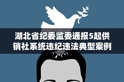 湖北省纪委监委通报5起供销社系统违纪违法典型案例