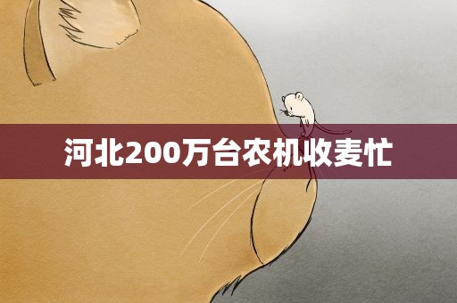 河北200万台农机收麦忙