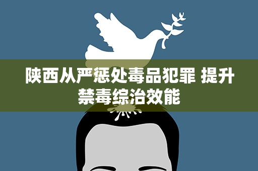 陕西从严惩处毒品犯罪 提升禁毒综治效能