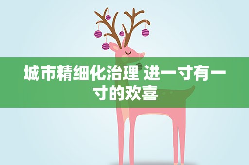 城市精细化治理 进一寸有一寸的欢喜