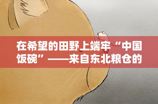 在希望的田野上端牢“中国饭碗”——来自东北粮仓的全国土地日报告
