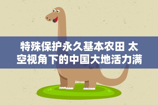 特殊保护永久基本农田 太空视角下的中国大地活力满满