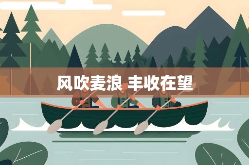 风吹麦浪 丰收在望