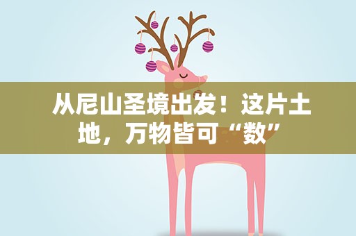  从尼山圣境出发！这片土地，万物皆可“数”