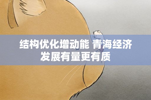 结构优化增动能 青海经济发展有量更有质
