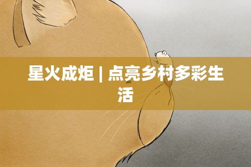 星火成炬| 点亮乡村多彩生活