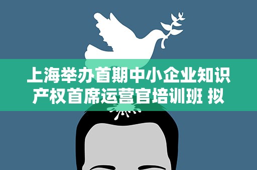 上海举办首期中小企业知识产权首席运营官培训班 拟培养一批运营实务人才