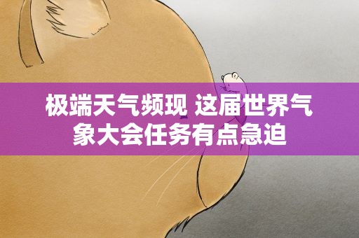 极端天气频现 这届世界气象大会任务有点急迫