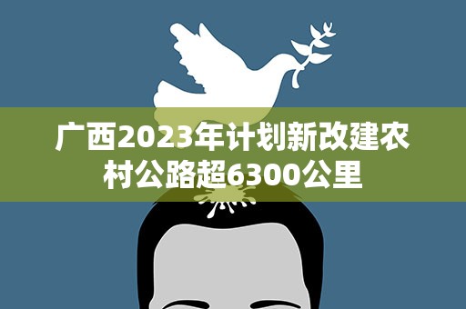 广西2023年计划新改建农村公路超6300公里