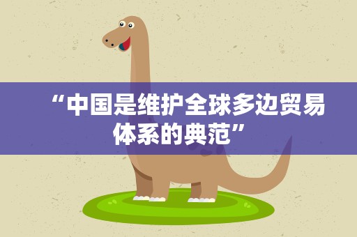 “中国是维护全球多边贸易体系的典范”