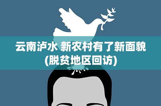 云南泸水 新农村有了新面貌(脱贫地区回访)