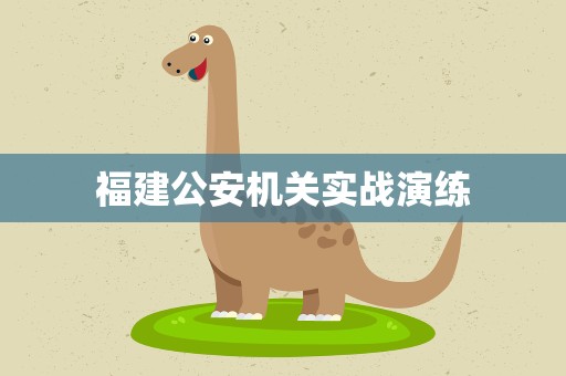 福建公安机关实战演练