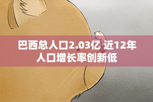巴西总人口2.03亿 近12年人口增长率创新低