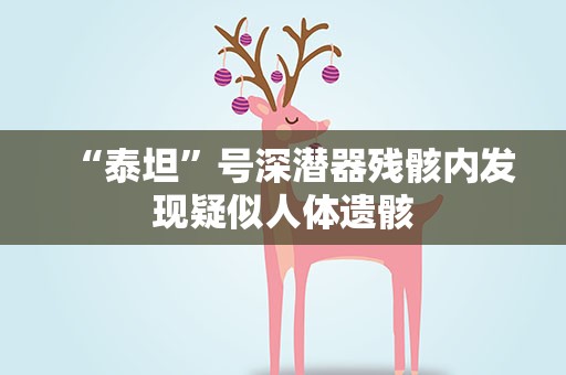 “泰坦”号深潜器残骸内发现疑似人体遗骸