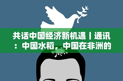 共话中国经济新机遇丨通讯：中国水稻，中国在非洲的亮丽名片