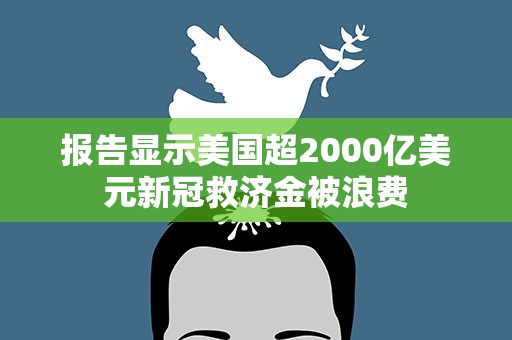 报告显示美国超2000亿美元新冠救济金被浪费