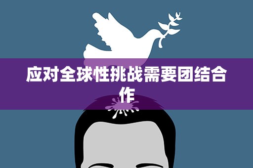 应对全球性挑战需要团结合作