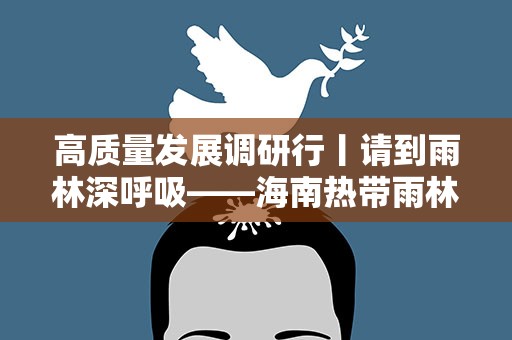 高质量发展调研行丨请到雨林深呼吸——海南热带雨林绿色发展观察