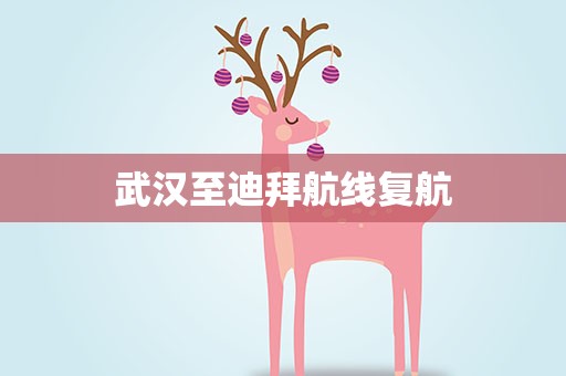 武汉至迪拜航线复航