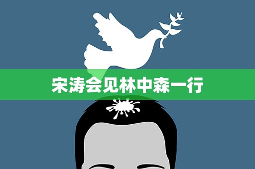 宋涛会见林中森一行