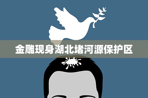 金雕现身湖北堵河源保护区