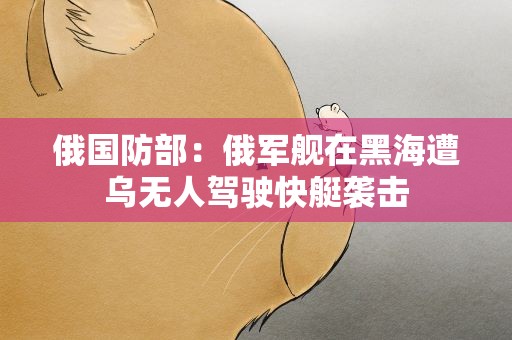俄国防部：俄军舰在黑海遭乌无人驾驶快艇袭击