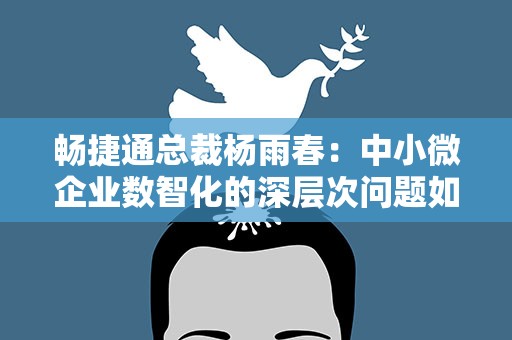 畅捷通总裁杨雨春：中小微企业数智化的深层次问题如何解决？