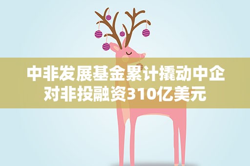 中非发展基金累计撬动中企对非投融资310亿美元