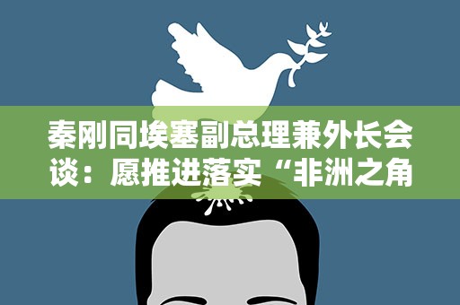 秦刚同埃塞副总理兼外长会谈：愿推进落实“非洲之角和平发展构想”