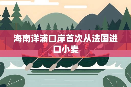海南洋浦口岸首次从法国进口小麦