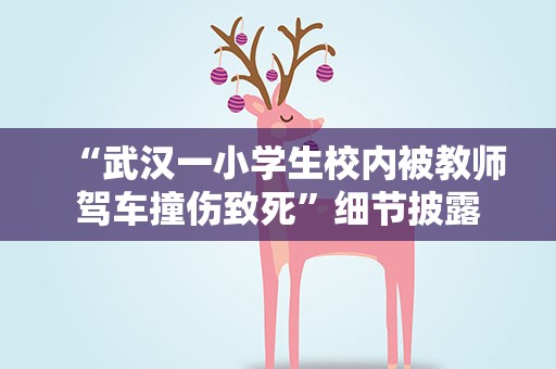 “武汉一小学生校内被教师驾车撞伤致死”细节披露